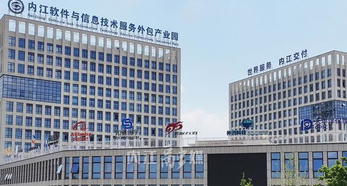 27.2億元！內江服務外包產業邁上新臺階，計算機網絡維護成關鍵引擎